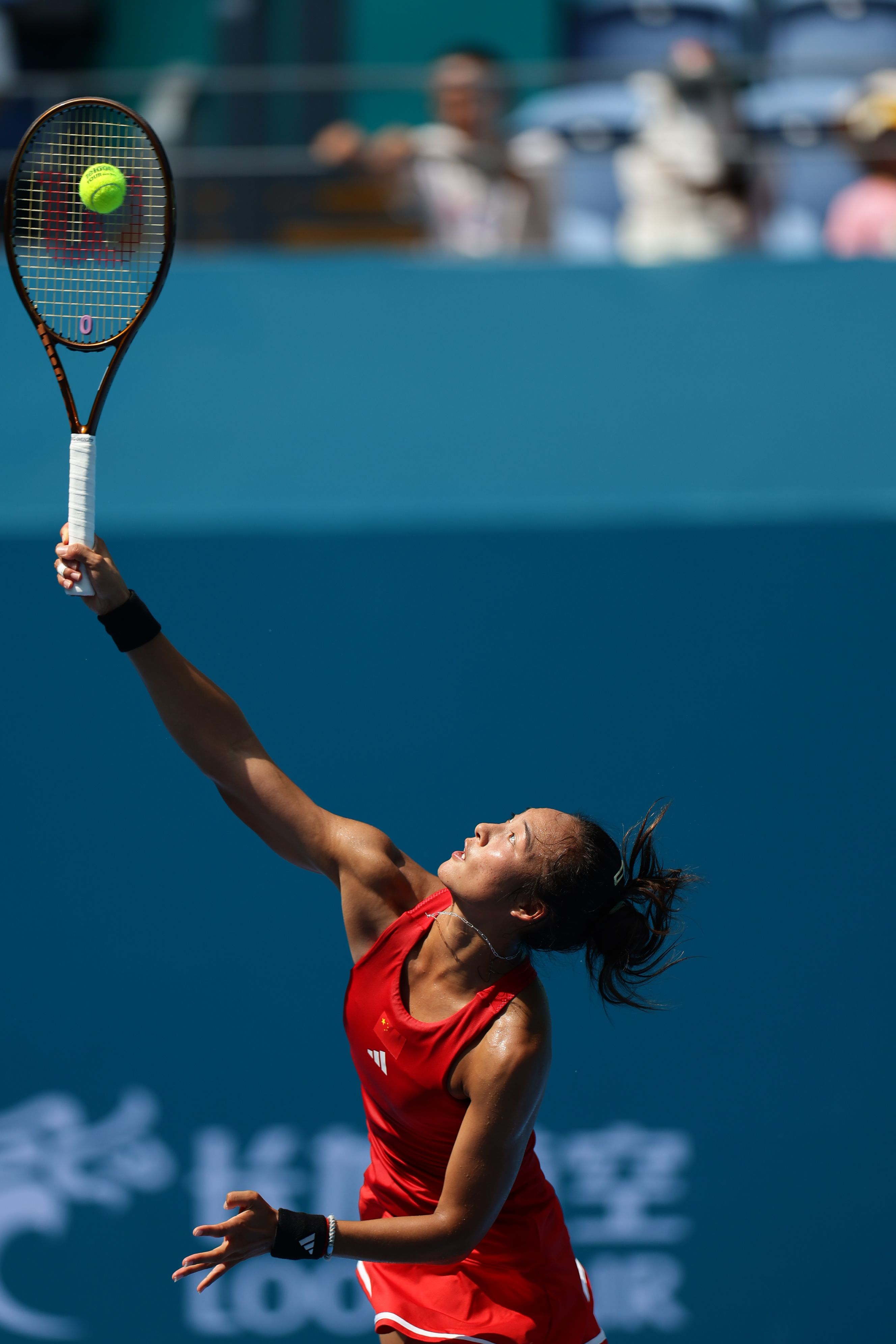 心他健康的 心他健康的