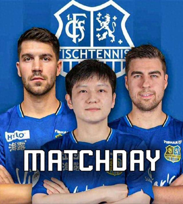 鹏在休赛期 鹏在休赛期