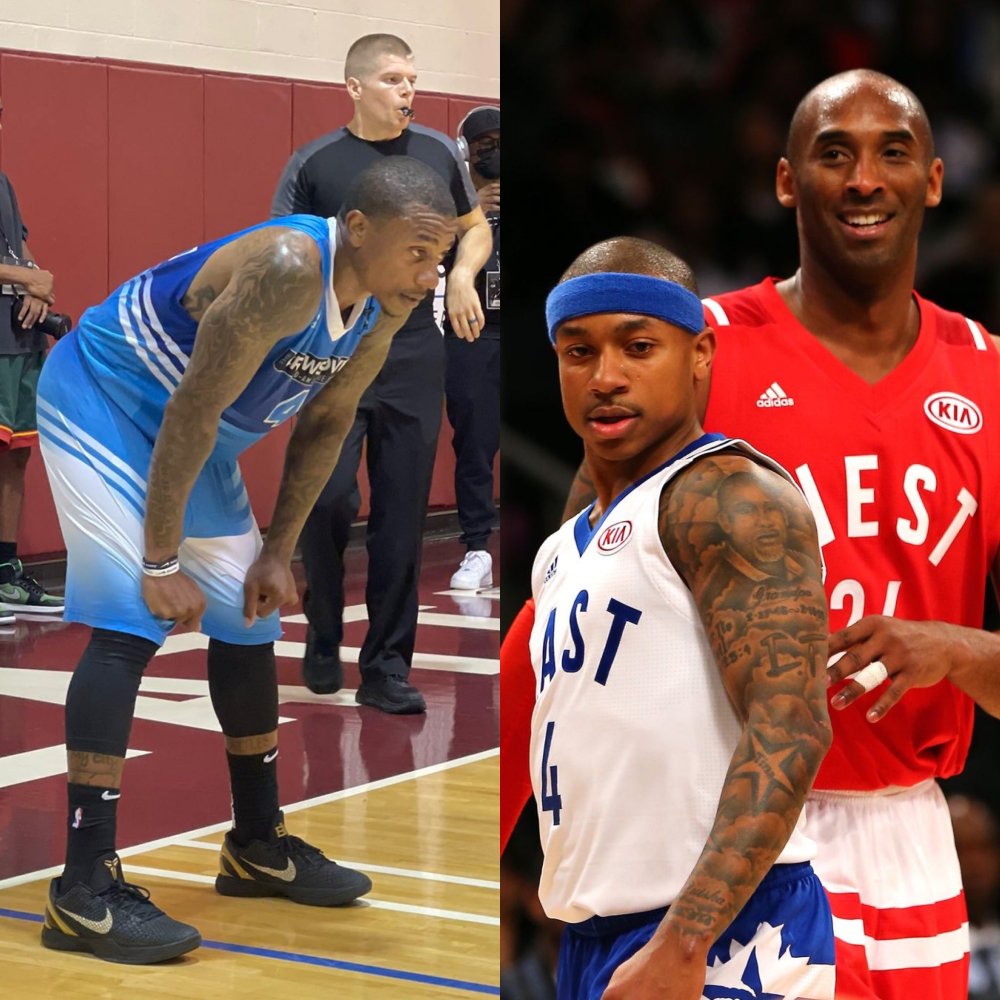 格极具观赏 格极具观赏