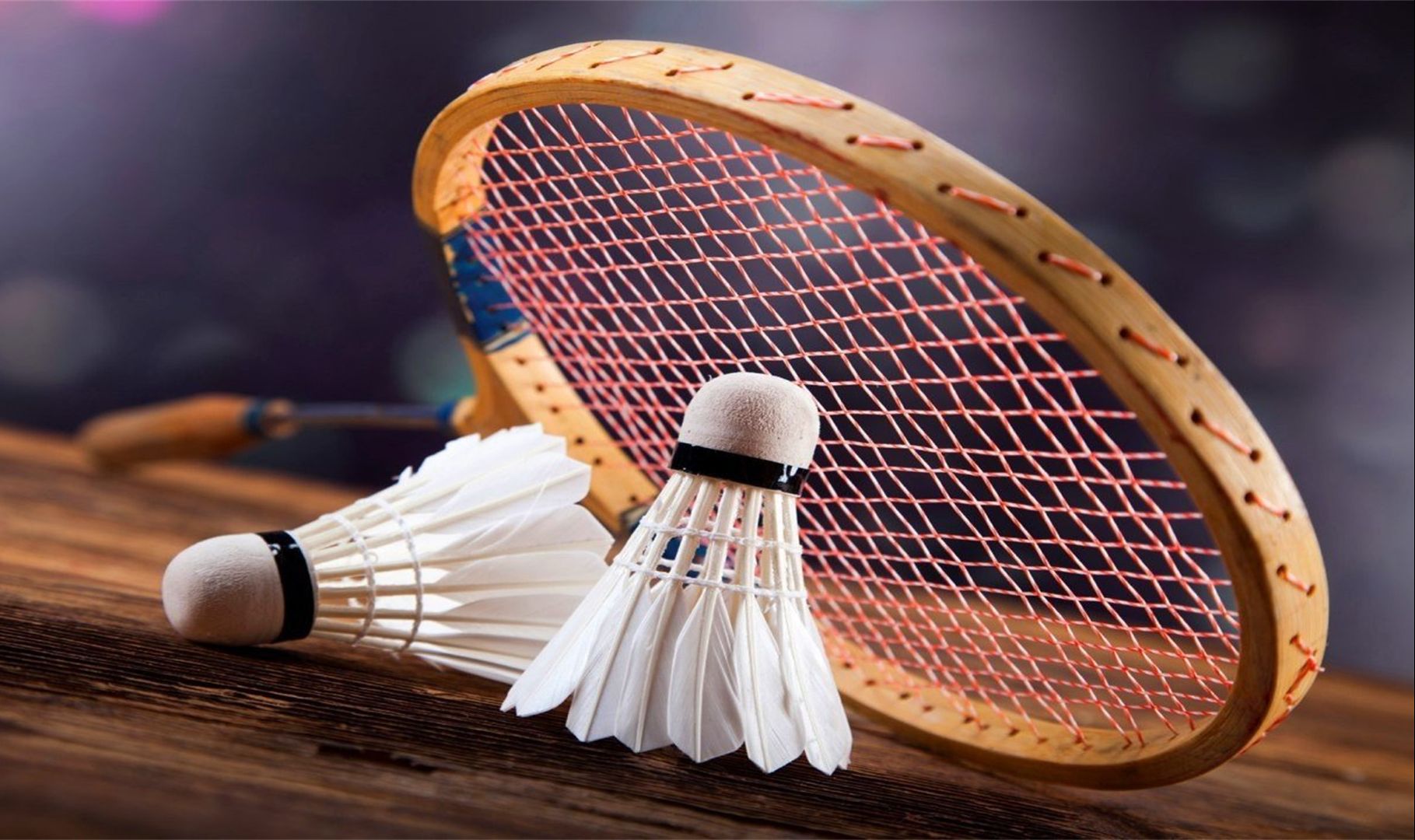 队的主力门 队的主力门